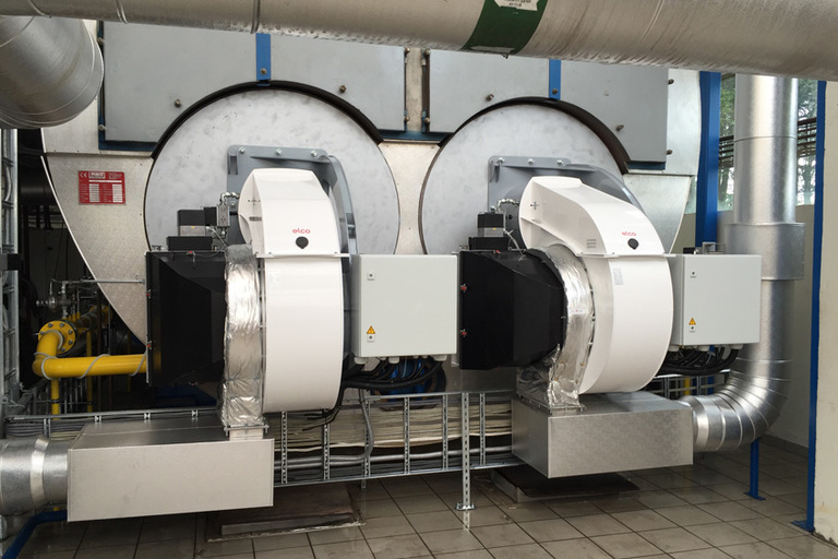 ��¡��ķ��Ų��